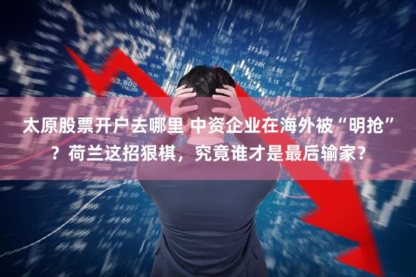 太原股票开户去哪里 中资企业在海外被“明抢”？荷兰这招狠棋，究竟谁才是最后输家？